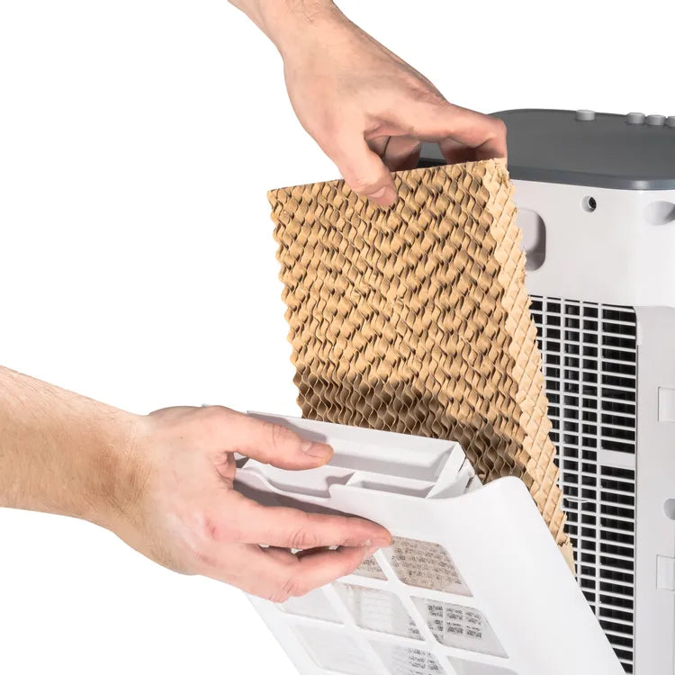 Rafraîchisseur d'air, ventilateur et humidificateur PAE 21